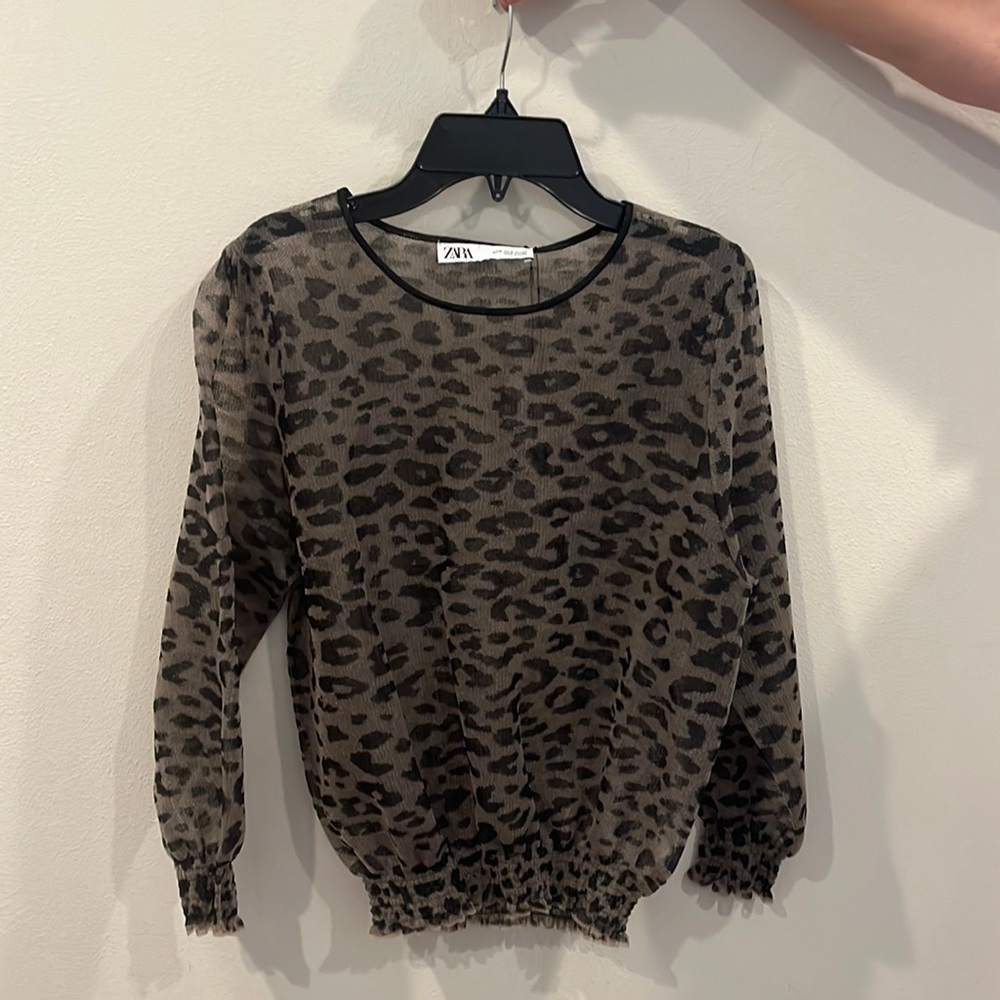 Zara See-Through Blouse